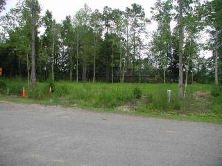 59 Dogwood St, Hemingway, SC 29554-6252