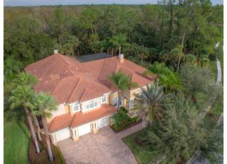 16411 Burniston Dr, Tampa, FL 33647-2790