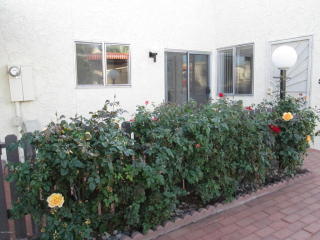 159 Brown Ave, Tucson, AZ 85710-3125