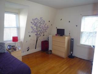 6 Shepard St, Cambridge MA  02138-1712 exterior