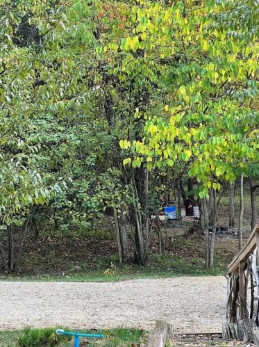 141 Hidden Springs Pl, Dittmer, MO 63023-1011