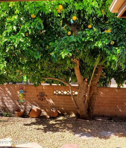 1086 Paseo Iris, Green Valley AZ 85614-3644 exterior