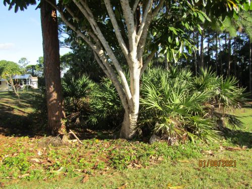 8248 Cinnamon Ct, Fort Pierce, FL 34952-3301