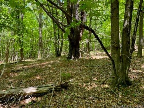 244 St, Roxbury CT 06783-1014 exterior