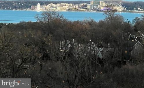 5904 Mount Eagle Dr, Alexandria VA 22303-2534 exterior