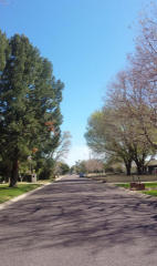 3620 Elm St, Phoenix AZ  85018-3520 exterior