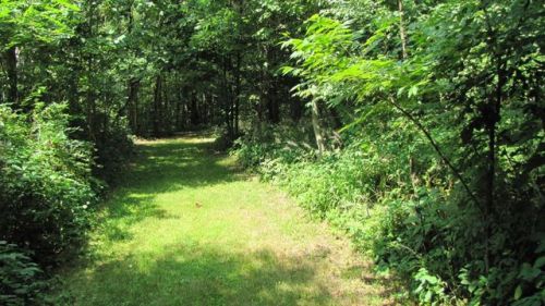 67054 Bulhand Rd, Cassopolis, MI 49031-8548