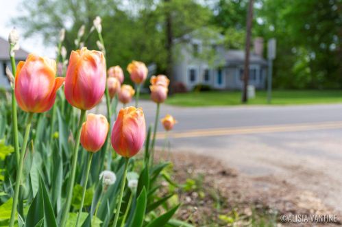 4431 Leonard St, Coppersville MI 49404-9481 exterior