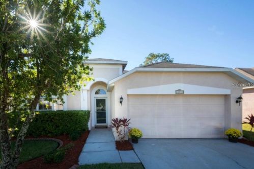 14330 Moon Flower Dr, Tampa FL  33626-2346 exterior