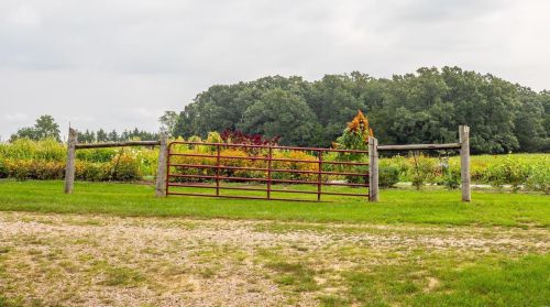 572 Spring Cave Rd, Spring Bluff MO exterior