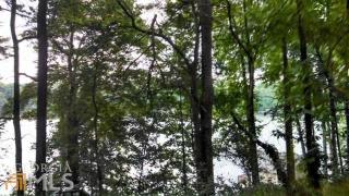 882 Lake Dr, Lithonia, GA 30039-6638