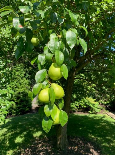 4845 Ellis Ave, Chicago IL 60615-5008 exterior