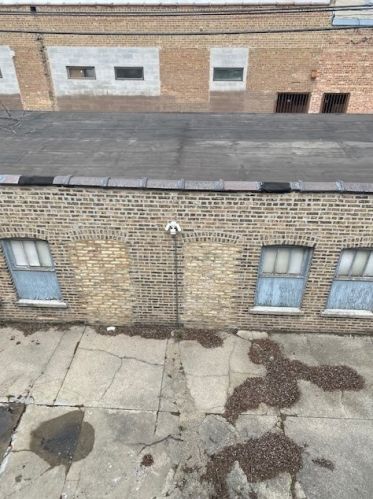 4238 Wrightwood Ave, Chicago IL 60639-1343 exterior