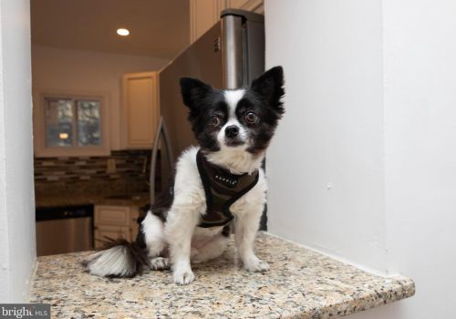 1231 26 St, Philadelphia PA 19121-4603 exterior