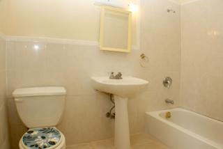 2358 Pacific St, Brooklyn NY  11233-4318 exterior