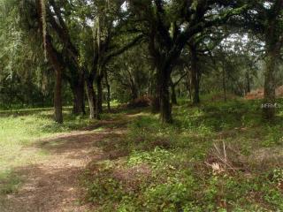 3017 Mazie Dr, Zephyrhills, FL 33541-4709