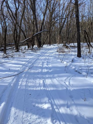 3763 2 St, Kalamazoo MI 49009-9319 exterior