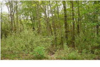 8015 Asterwood Ct, Middlevle, MI 49333-9161