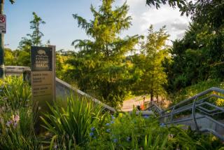 1520 Memorial Way, Houston TX  77007 exterior