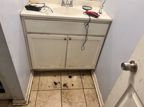 736 47 Pl, Chicago IL 60632-1441 exterior