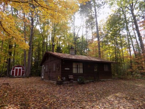 10831 Park Dr, Atlanta MI  49709-9153 exterior