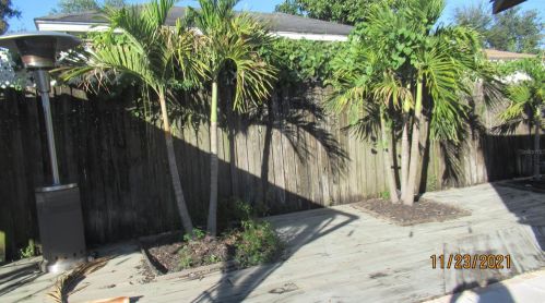 3109 Grace St, Tampa FL 33607-5112 exterior