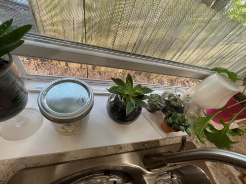 216 Park St, Watervliet MI 49098-9363 exterior