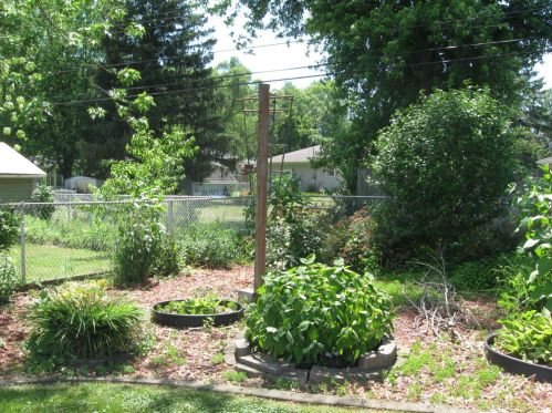 7514 Montana St, Gary IN 46403-3462 exterior