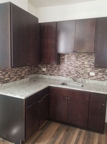 6741 Emerald Ave, Chicago IL  60621-2509 exterior