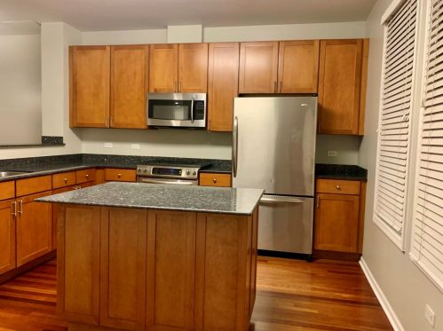 1000 Crosby St, Chicago IL  60610-2404 exterior