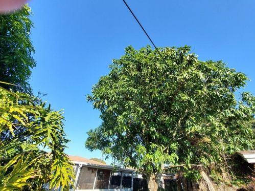 3410 Cordelia St, Tampa FL 33607-1914 exterior