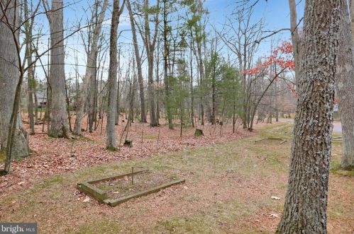 3 Wooded Ridge Rd, Swanton MD 21561-2334 exterior