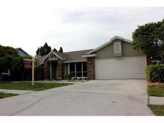 10421 Ashley Oaks Dr, Riverview, FL 33578-8831