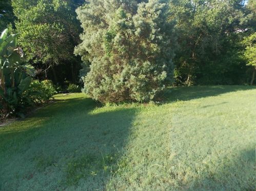 8330 Millwood Dr, Port Richey FL 34667-6975 exterior