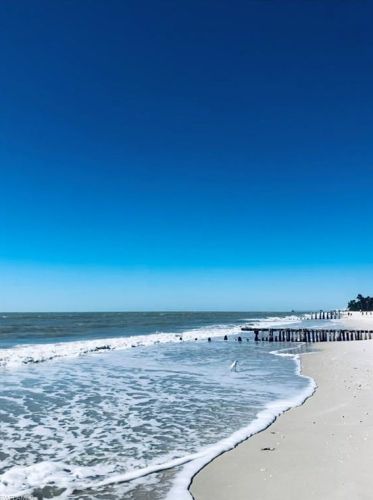 1016 7th St, Naples FL 34102-7333 exterior