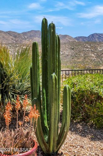 37373 Ocotillo Canyon Dr, Tucson, AZ 85739-1874