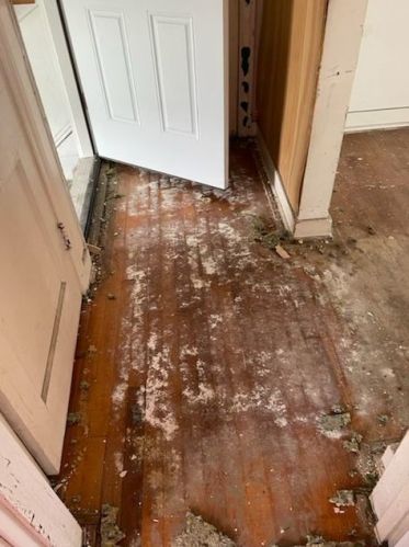 6 16 Ave, Broadview IL 60153-1427 exterior