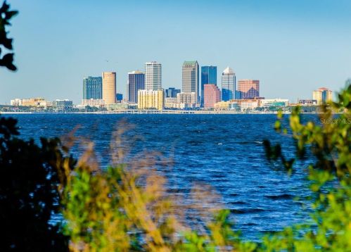 5207 Bayshore Blvd, Tampa FL  33611-4109 exterior