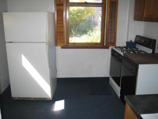 3349 Parkview Ave, Pittsburgh PA  15213-4515 exterior