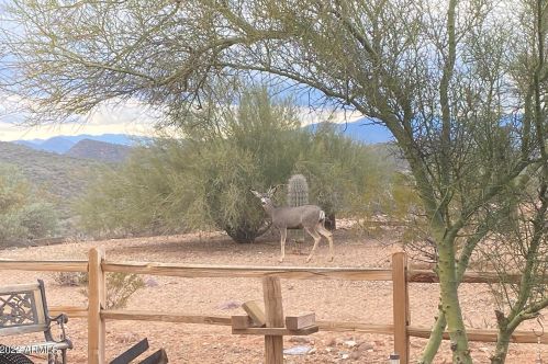 50608 33rd Ave, Phoenix AZ 85041-6330 exterior