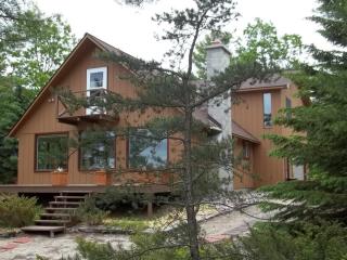 7541 Cordwood Shores Dr, Cheboygan, MI 49721-8629