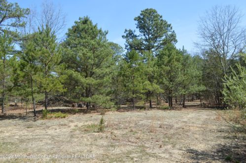 227 Jackson Pne Rd, Jackson Twp NJ 08527-2946 exterior