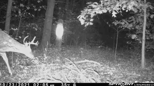 3763 2 St, Kalamazoo MI 49009-9319 exterior