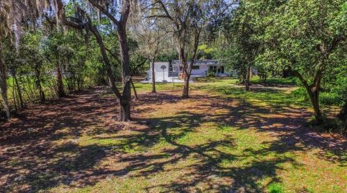 12403 53rd St, Tampa FL 33617-1451 exterior