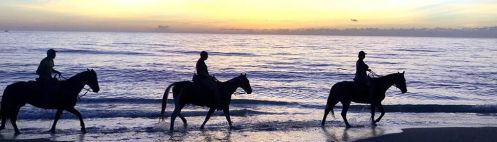 2201 Marshfield Ct, Fort Pierce FL  34953-4372 exterior