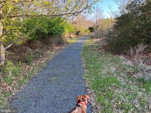 7968 Pond Haven Ct, Saint Michaels MD 21663-2718 exterior