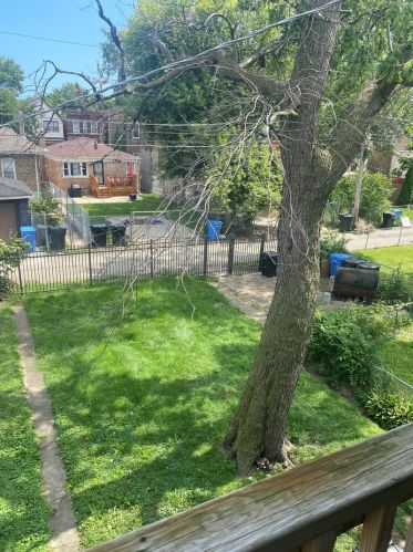 6805 Champlain Ave, Chicago IL 60637-4114 exterior