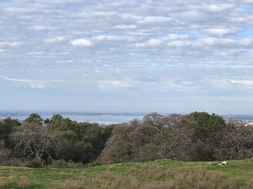 2040 Grn Spg Rd, Folsom CA 95762-9722 exterior