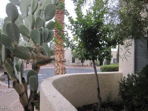 716 Orange Tree Pl, Tucson AZ  85704-3956 exterior