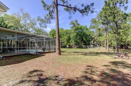 12216 Twin Br Acres Rd, Tampa FL 33626-3711 exterior